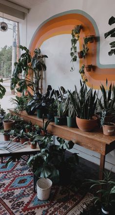 calming feelings, pastel rainbow, plants everywhere Plant Store Display, Plant Store Ideas, Plant Store Aesthetic, Plant Space, Plant Store, Plant Wishlist, Plant Room, Shop Inspiration