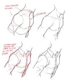 how to draw the torso and neck in 3 easy steps step by step drawing lesson for beginners