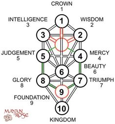 the tree of life is shown with numbers and symbols in each section, including seven circles