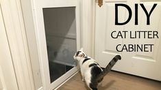 a cat standing on its hind legs in front of a door with the words diy cat litter cabinet above it