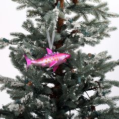 a pink fish ornament hanging from the top of a pine tree with snow on it