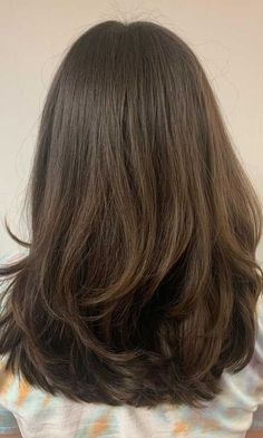 Haircuts For Medium Length Hair, Medium Layered Haircuts, Layered Haircut, Long Brown Hair, Trendy Haircuts