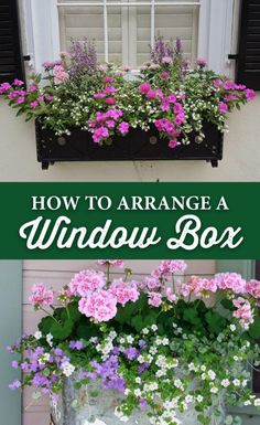 window box with flowers in it and the words how to arrange windows box on top