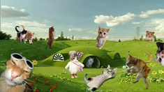 many cats are walking around in the grass and on the ground, with one cat looking at the camera