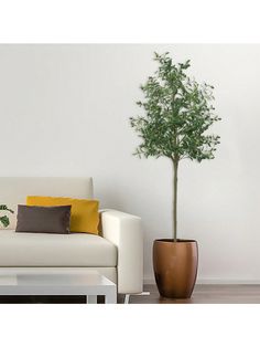 a living room with a white couch and a potted plant on the floor next to it