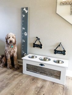 a dog sitting in front of a measuring board with two bowls on it and a ruler next to it