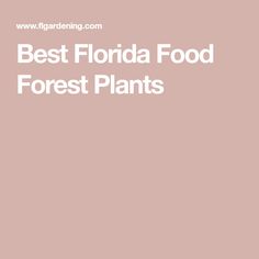 the words best florida food forest plants are in white letters on a light pink background