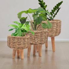 Greenarium Jute Rope Planters Highly Durable Plant Container Gamla for Indoor Home Decor & Outdoor Balcony/Garden Flower Pot, Set of 3 Water Body, Natural Twists, Plant Containers, Indoor Home Decor, Amazon India, Flower Pot Garden, Outdoor Balcony, Pot Set, Water Hyacinth