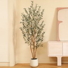 a potted plant sitting on top of a wooden floor next to a white dresser