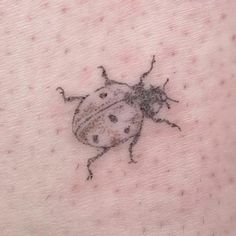 a ladybug tattoo on the back of a woman's arm, with spots all over it