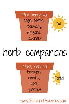 the words herb companions are written in black and orange on an orange flower pot