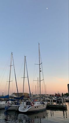 several sailboats are docked in the harbor at sunset or dawn, with one half moon visible