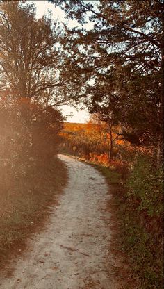 the sun shines brightly on a dirt path