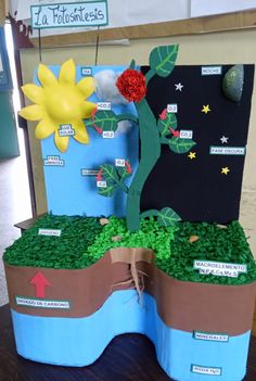 a display with plants and flowers on it