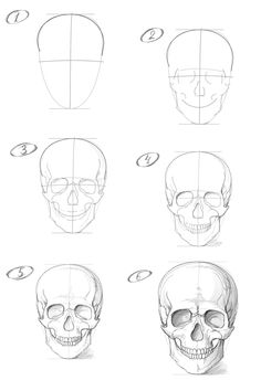 how to draw a skull with different angles