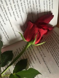 a red rose sitting on top of an open book