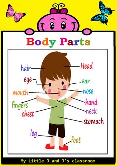 the body parts poster is shown with an image of a child's head and hands