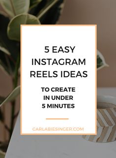 a plant with the words 5 easy instagramm reels ideas to create in under 5 minutes