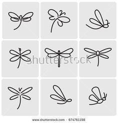 six dragonflies in different positions