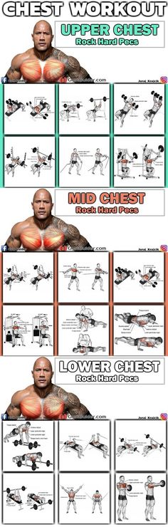 the chest workout chart shows how to do it