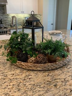 a basket filled with plants on top of a kitchen counter