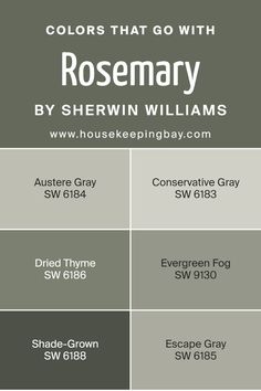 Colors that Go With Rosemary SW 6187 by Sherwin Williams Sw Austere Gray, Honed Soapstone Sherwin Williams, Rosemary Sw, Austere Gray, Escape Gray, Sherwin Williams Green, Evergreen Fog, Basement Paint Colors, Green Grey Paint