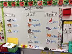 a bulletin board with animals and numbers on it in front of a classroom calendar display