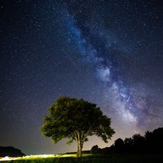 the night sky is filled with stars above a lone tree and grassy field below it