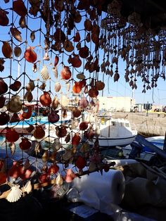 a bunch of seashells hanging from the side of a boat