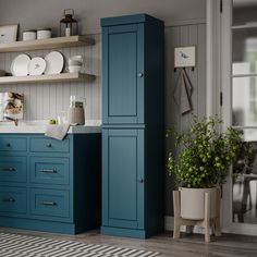 a kitchen with blue cabinets and white counter tops, potted plant in the corner