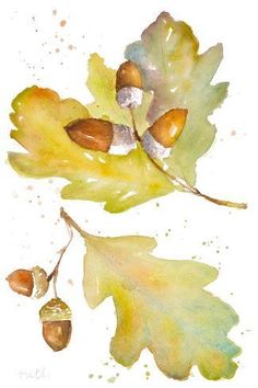 two acorns and an oak leaf are shown in this watercolor painting on paper