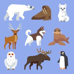 different types of animals on a blue background stock photo - image 349784