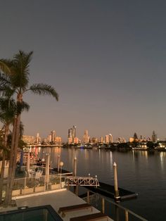 a view of the city skyline and water from a dock in front of some palm trees