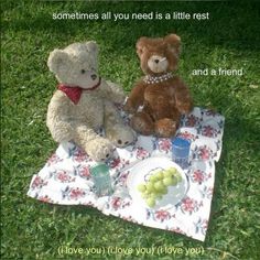 two teddy bears sitting next to each other on a blanket in the grass with grapes