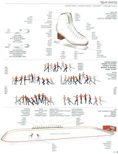 an info sheet shows the different types of skates and how they are used to ride them