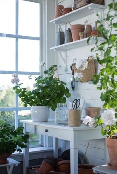 a white table topped with lots of potted plants next to a wall mounted shelf