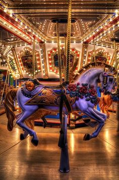 a merry go round with horses and lights