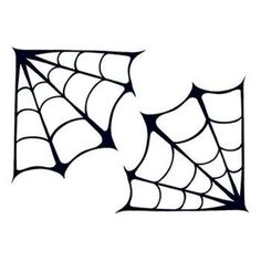 a spider web on a white background