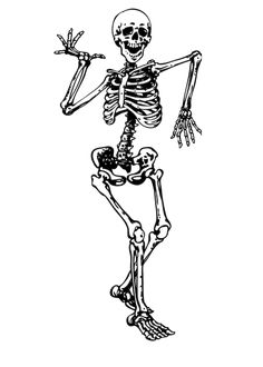 a black and white drawing of a skeleton with one arm extended, holding the other hand out