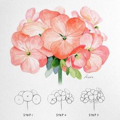 a watercolor drawing of pink flowers on a white paper with the words step by step