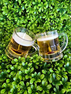 two mugs of beer sitting on top of green plants