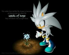 sonic the hedgehog is looking at a flower in front of a black background with a quote about seeds of hope