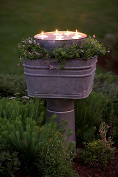 a metal bucket with candles in it surrounded by plants and shrubs on the ground outside