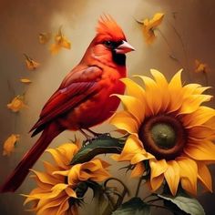 a red bird sitting on top of a sunflower next to a yellow flower with butterflies in the background