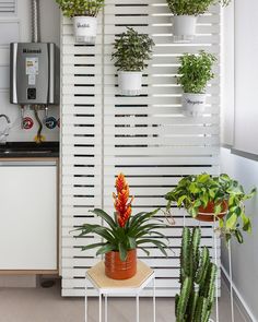 three potted plants are hanging on the wall next to a kitchen sink and refrigerator