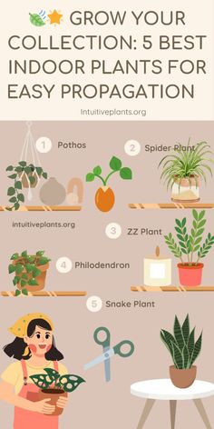 an info sheet describing how to grow your indoor plants for easy propagation in the garden