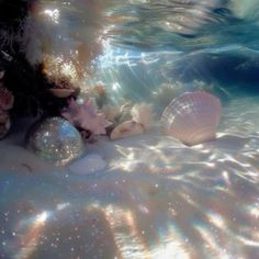 an underwater view of seashells and bubbles in the water