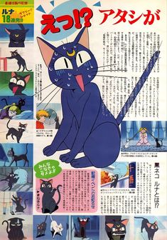 an article in the japanese language with pictures of cats and kittens, including one black cat