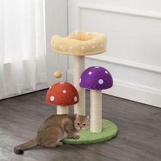 CTR1001A Decor/Pet Accessories/Pet Beds Mushroom Cat Tree, Cats Happy, Cat Tree Scratching Post, Plush Bed, Sisal Rope, Mushroom Design, Food Storage Containers Organization, Wet Cat Food, One Piece Toilets