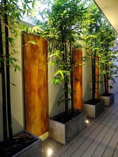 an outdoor deck with bamboo trees and lights